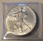 2019 American Silver Eagle Coin 1 oz $1 - BU