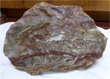 INTERESSANTER TRÜMMERACHAT AUS SCHLOTTWITZ IN SACHSEN ca. 3kg!!! 2026.2.11