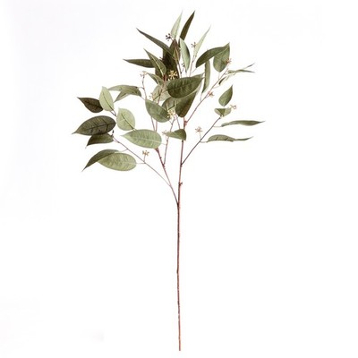 EUCALYPTUS SEED STEM 41''
