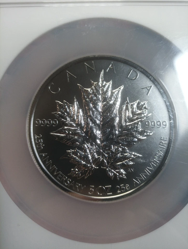 Plata Canadá 2013 $50 hoja de arce 25 aniversario 5 oz NGC PRUEBA INVERSA 69 Foto 3 de 4