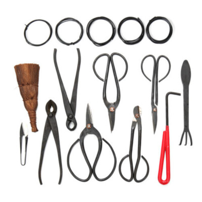 10 Stcke Neu Bonsai Werkzeug Set Kohlenstoffstahl Cutter Schere Schere  Baum | eBay.de