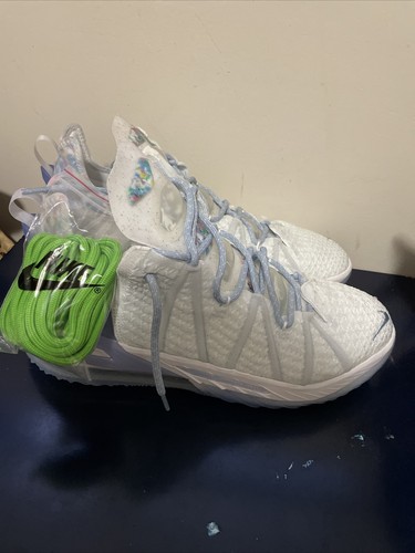 lebron 18 future