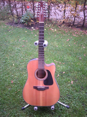Takamine Gitarre Zwölf Saiten E-Akustik G-Serie 12 String Western Made in Japan