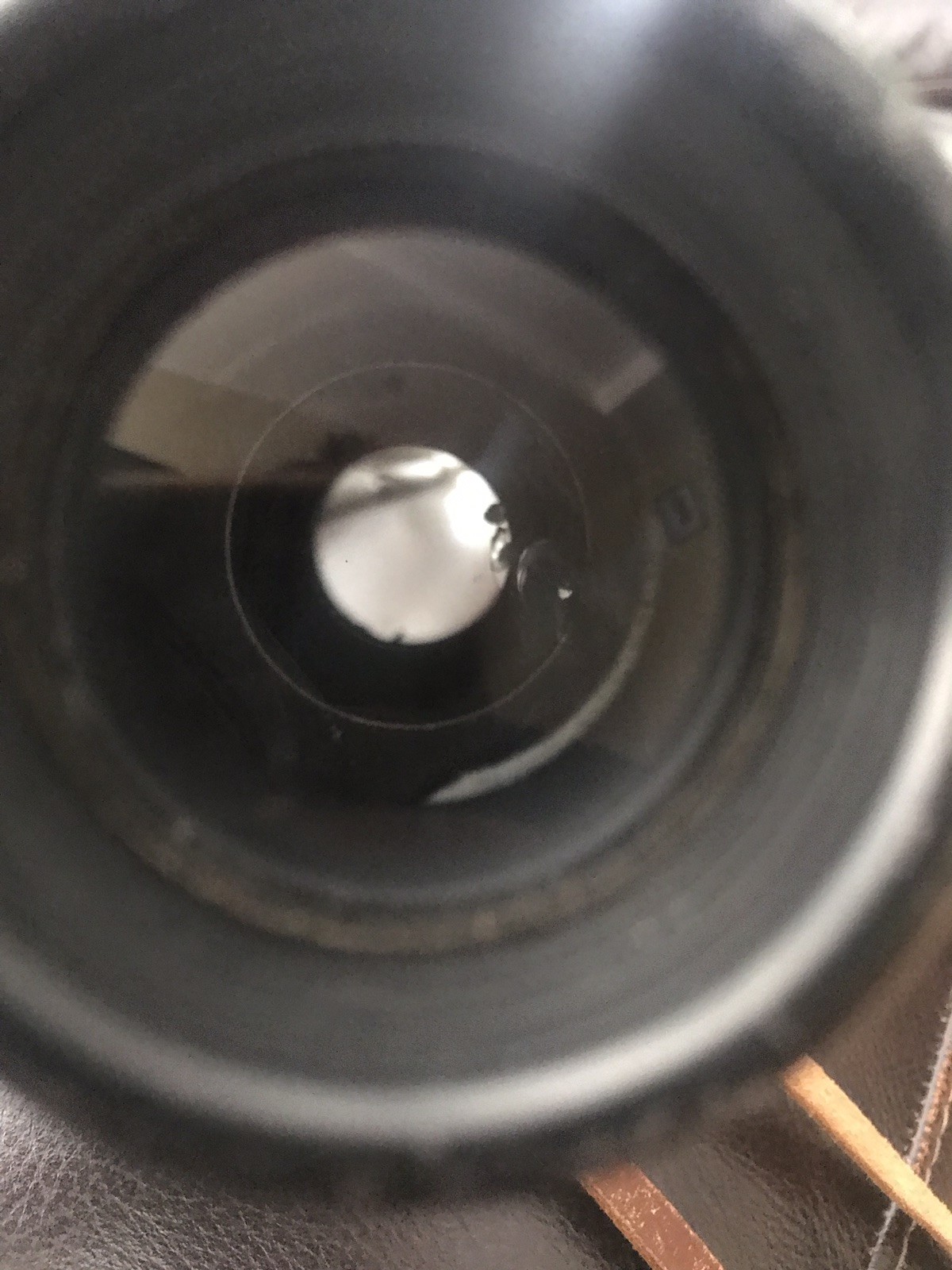 Picture 11 of 11