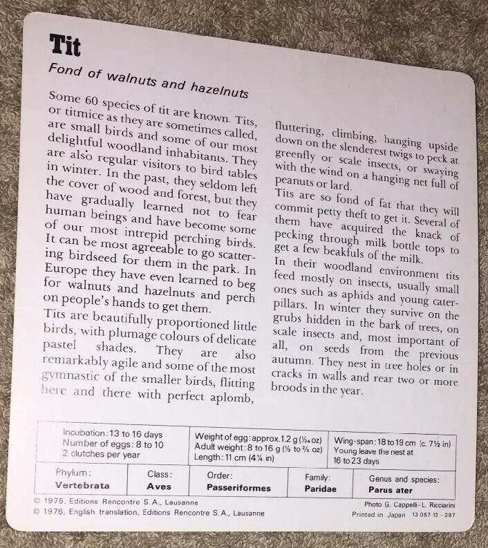 VINTAGE Bird Species CARD - Tit - 1975-1976 PRINTED IN JAPAN | eBay