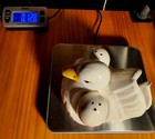 Foto 12 di 12