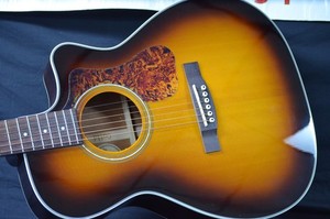 Guild Om 240 CE | eBay