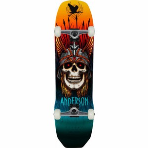 Andy Anderson Skateboard Complete | eBay