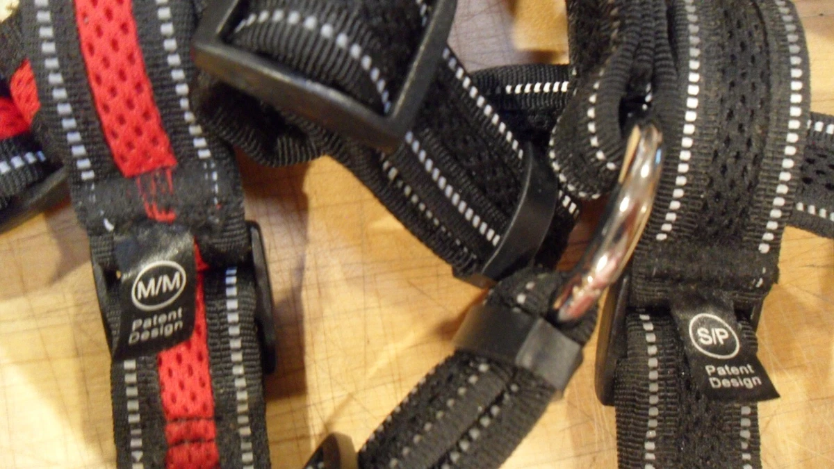 Jump step top in harness