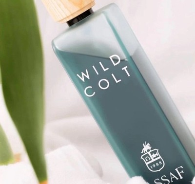 Wild Colt Assaf
