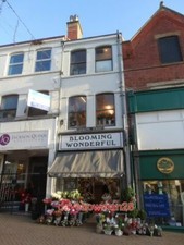 PHOTO  BLOOMING WONDERFUL FLOWER SHOP IN MANSFIELD ON LEEMING STREET 2015