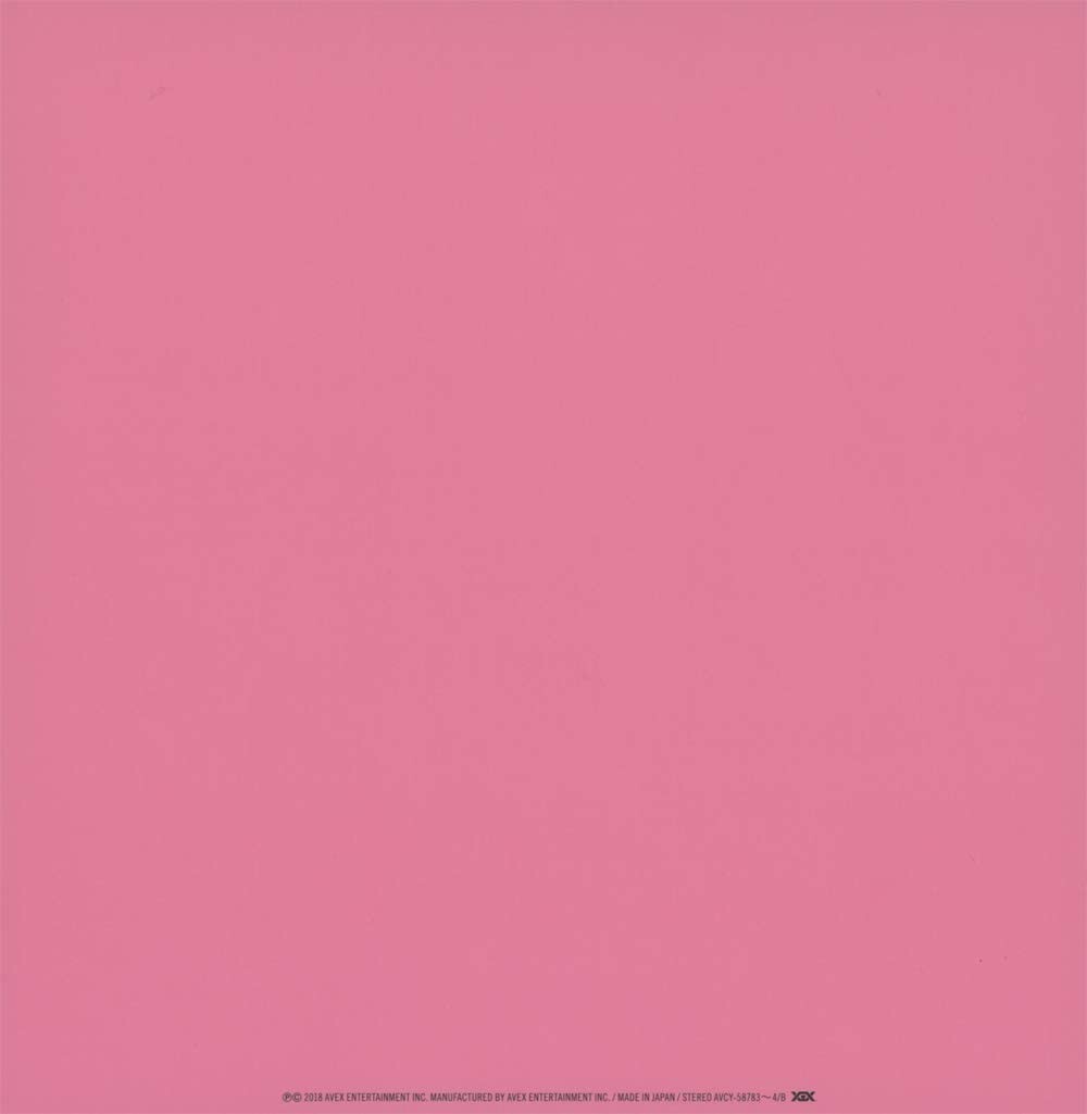 Blackpink In Your Area Limited Edition 2 CD+DVD+Photobook Special