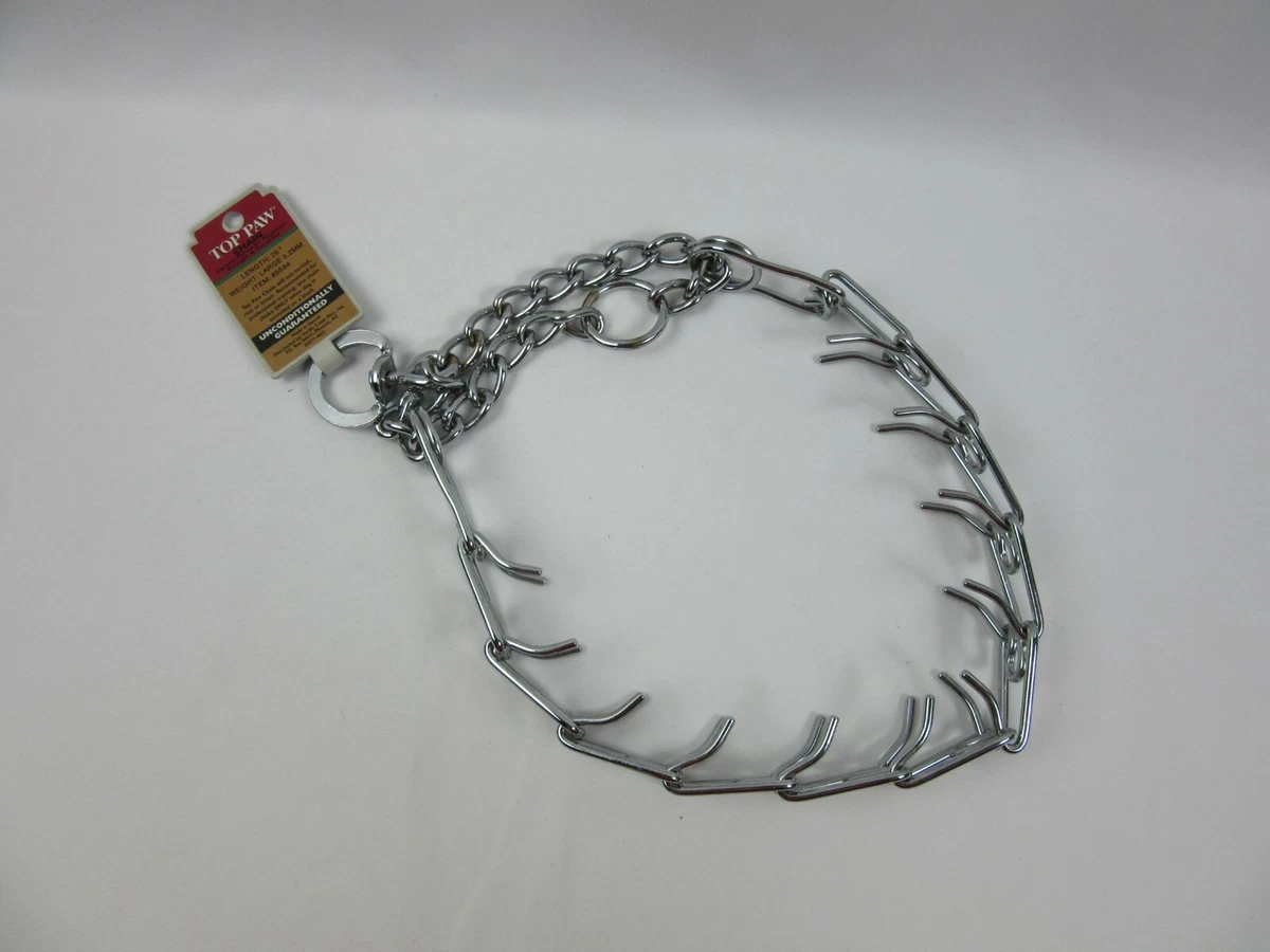 Top paw training collar 2025