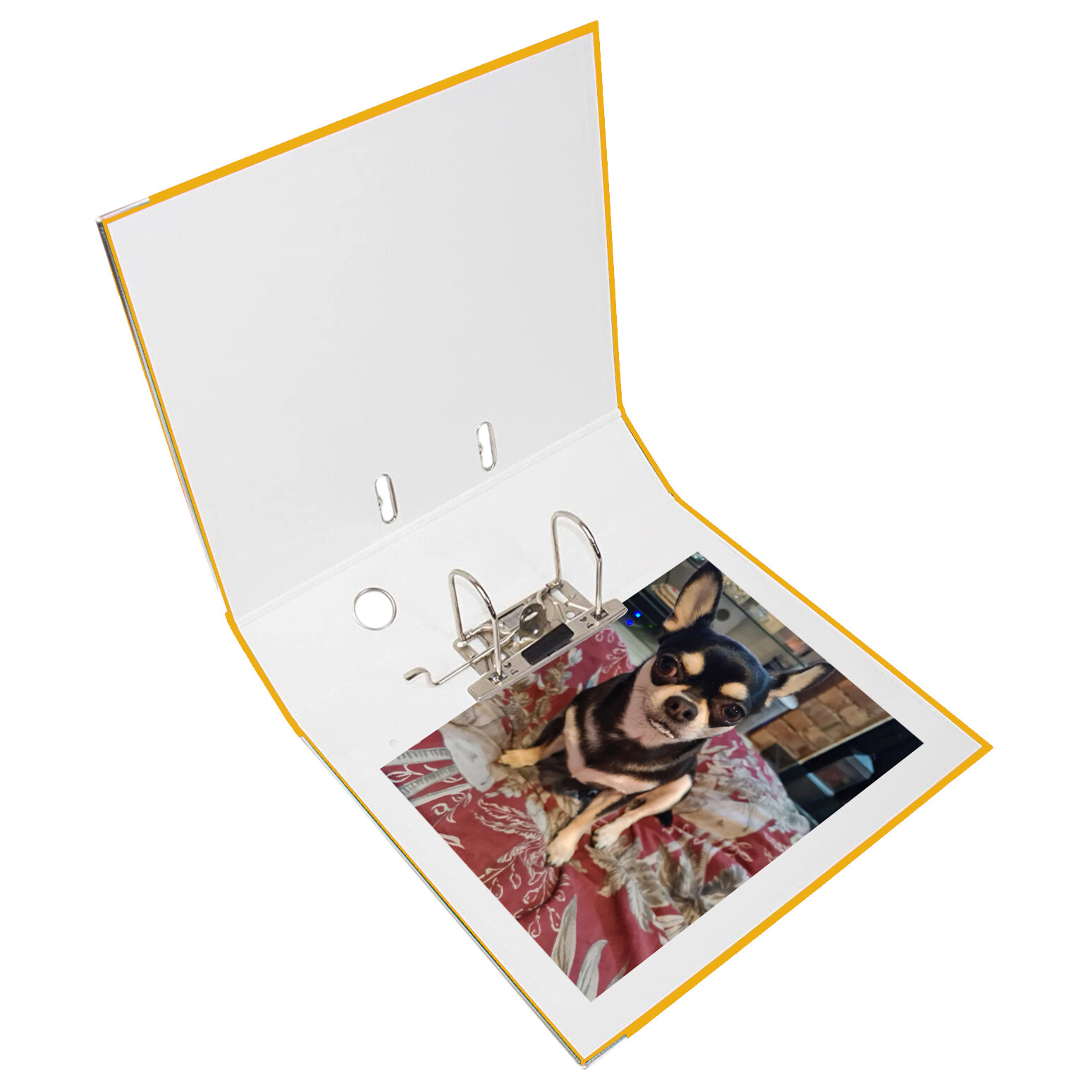 [Pack of 10] A4 Lever Arch Files Yellow Binder Dividers Office