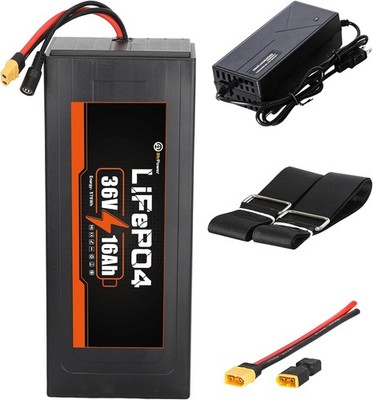 36V 16Ah LiFePO4 Lithium B attery Pack, Built-in 30A BMS for 0-1200W Motor