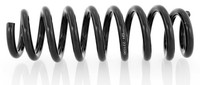 1X Feder Hinten Rechts=Links GH-221590
