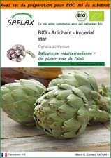 SAFLAX Jardin dans le sac - BIO - Artichaut - Imperial star - 5 graines - Cynara