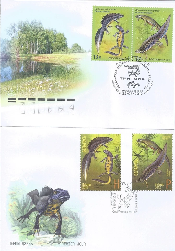 Russia 2012 Folder 2X FDC Joint Issue Belarus Fauna Reptile Newts - Image 4 of 4