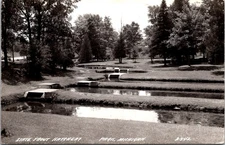 Paris Michigan State Trout Hatchery Mecosta County 1930-1950 RPPC Postcard 31587