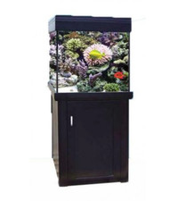 aquareef 275 cube marine aquarium full system