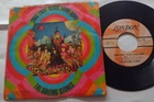 CANADA!!! Ex THE ROLLING STONES She’s A Rainbow / 2000 Light PS 1967 PSYCH 45
