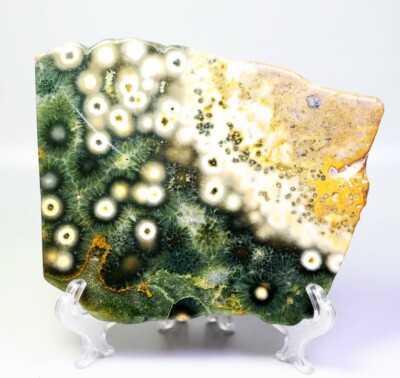 Natural Polished Ocean Jasper Agate Eye Quartz Crystal Slice Stone Reiki Stand
