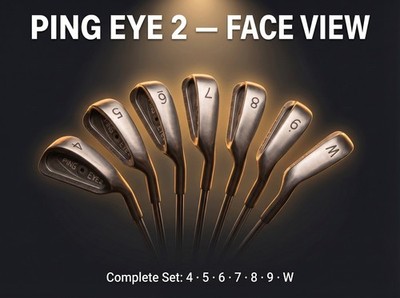 Ping Eye 2 Iron Set 4-W Black Dot True Temper Stiff Steel RH