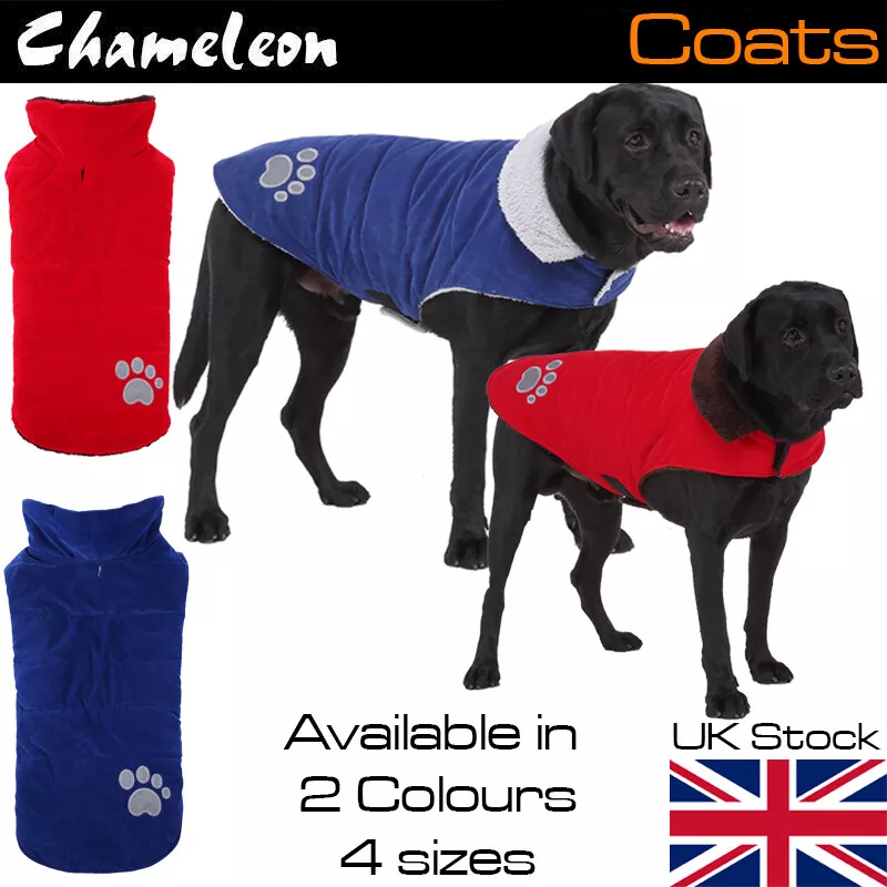 H and m dog cheap clothes