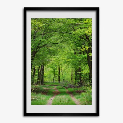 Tulup Foto auf MDF Wanddekoration Kunst Wohnzimmer 70x100cm Grüner Wald