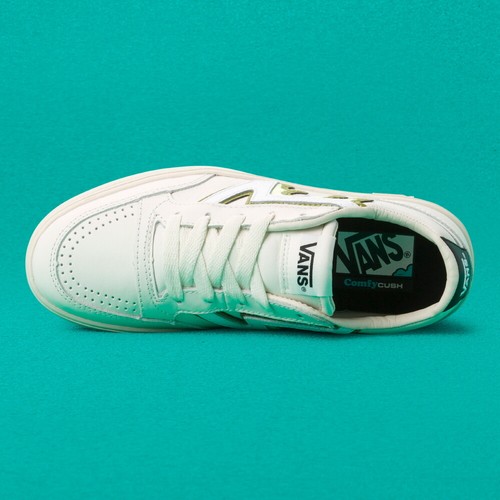 Buy Vans Lowland CC FT Flame Skate 