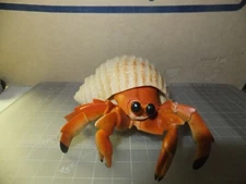 Hermit Crab Incredible Creatures Figure Safari Ltd Crustation Toy 5"