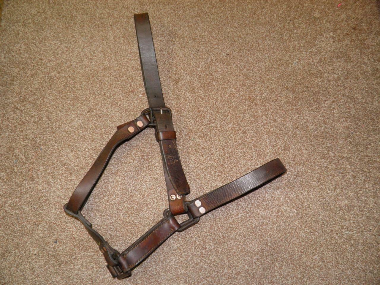 Picture 9 of 12