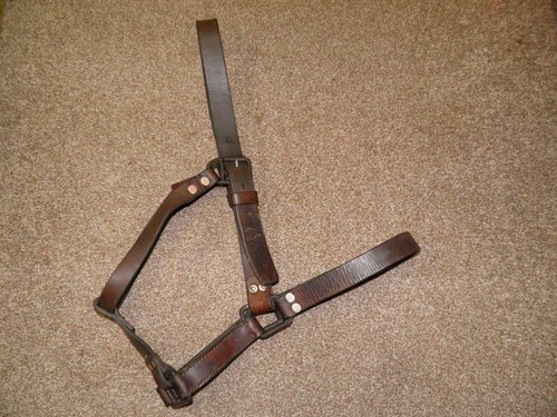 Pair Of Antique Military Railway Heavy/Draft Horse English Leather Head Collars - Picture 9 of 12