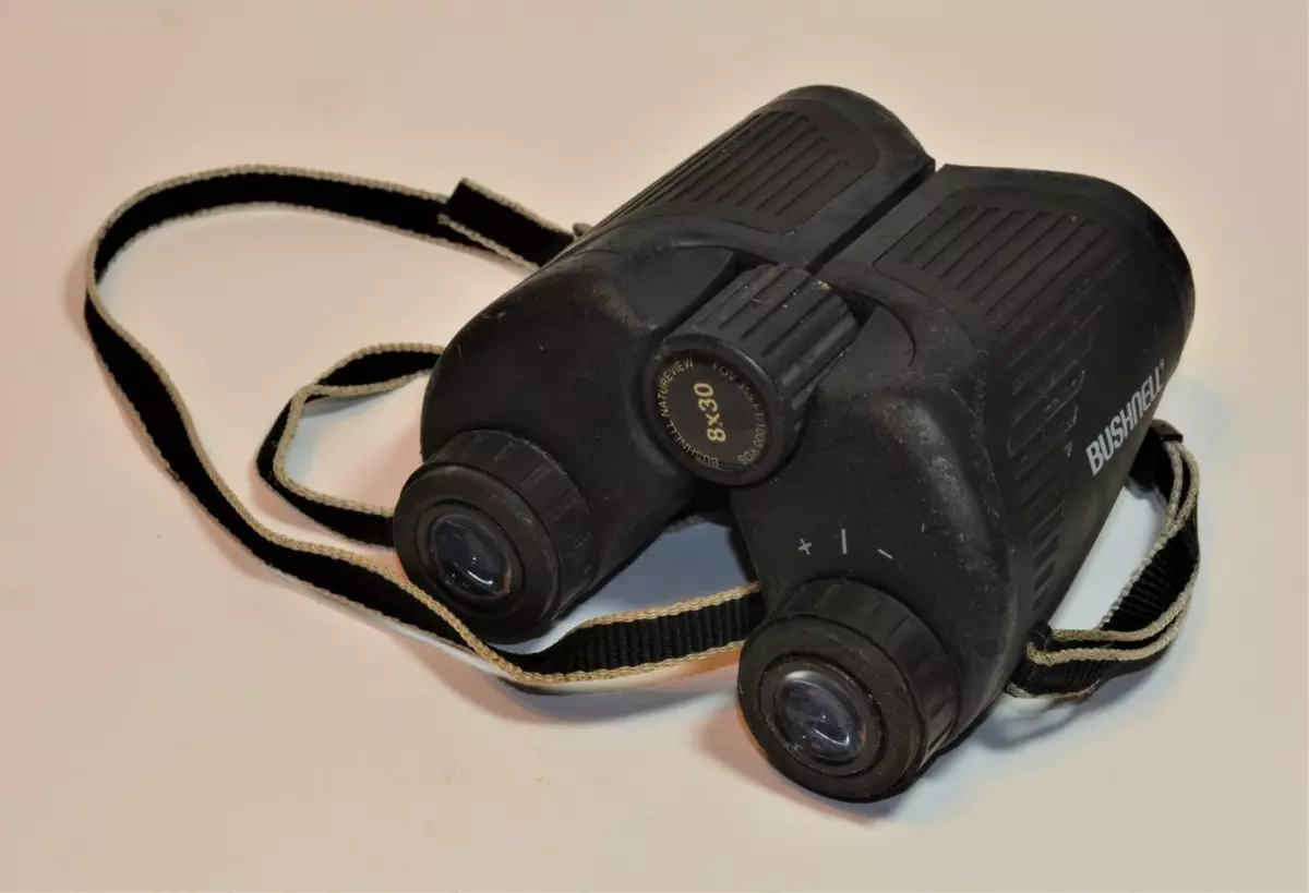 Best bushnell binoculars for best sale birding