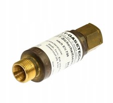 WITT gas fuse F 53 N EN730 1 piece