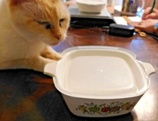 CorningWare P-43-B ~ Spice of Life ~ 2.75 cup Petite-Dish & Plastic Lid