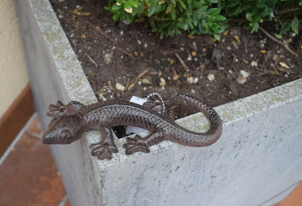 Gusseisen Spinne Frosch Eidechse Deko Figuren Figürchen Garten Haus Balkon Neu - Bild 3 von 4