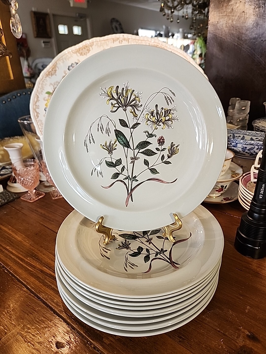 Rustic Farmhouse Farmhouse Style Dinner Plates Botanical Wedgwood