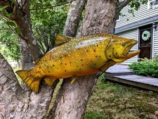 Fish Taxidermy Brown Trout Reproduction