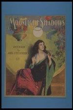 305050 Moonlight Shadows Copyright 1905 A4 Photo Print