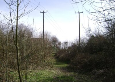 #ad Photo 6x4 Myton Pool Warwick Parts of the old County Council tree nursery c2009 GBP 2.00