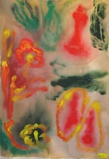 Outsider Art Original Painting Flower signed Cheng Jin 23"x33"