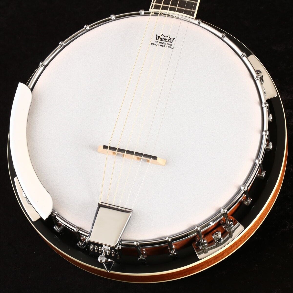 Aria / SB-10G Guitar Banjo