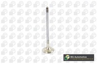 Auslassventil BGA V090106 FüR E61 E91 E92 E60 BMW F10 E90 F11 3Er Touring 5Er
