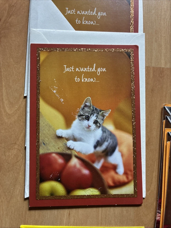 批量 46 张全新 Hallmark 感恩节快乐贺卡 快速发货 — 第 3/4 张图片