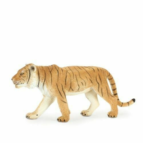 Cuccioli Di Tigre Del Bengala Nascono Nello Zoo Di Delhi - Asia - Foto 13