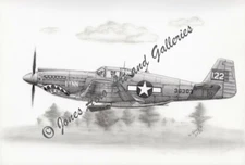 Flying Tiger Capt John Steward's P-51A Mustang Art Prints by Willie Jones Jr.