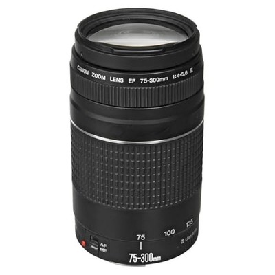 Canon EOS Kiss + 75-300mmレンズ Amazon.com : Canon EF 75-300mm f/4-5.6 III Telephoto Zoom Lens for