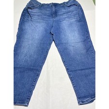 Terra  Sky Womens Plus Size 2X 20W-22W Medium Wash High Rise Straight Jeans
