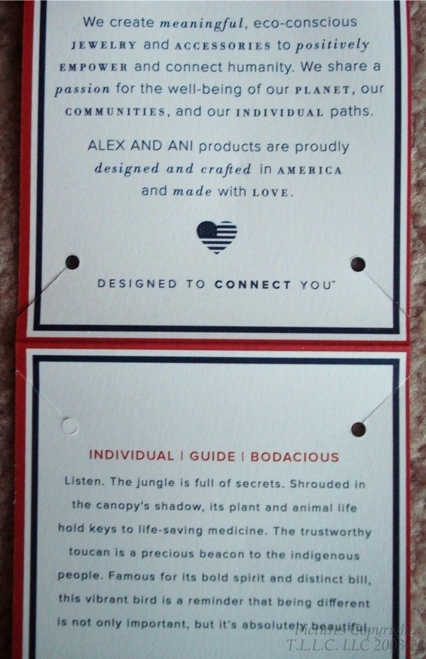 US Olympic Team Brazil Tropical Toucan Energy Silver Alex and Ani Charm Bracelet - Image 4 of 4